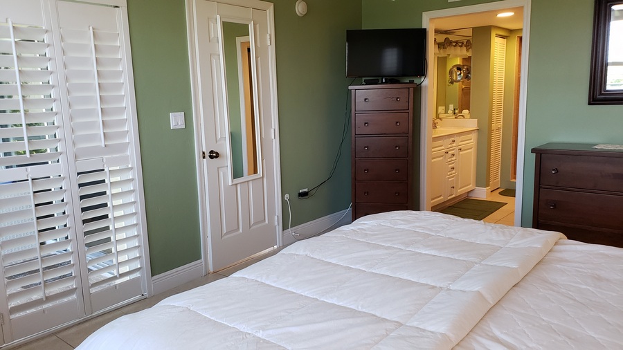 Master Bedroom View